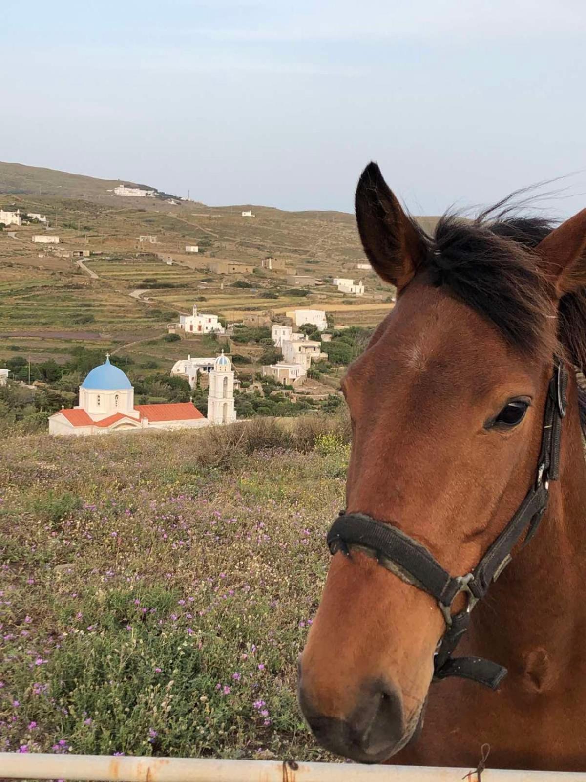 Afrodite Hotel Tinos Exterior photo